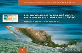 La Bioenergía en México - REMBIO