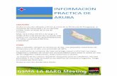 INFORMACION PRACTICA DE ARUBA - GSMA