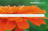 FLORES Y PLANTAS ORNAMENTALES - GLOBALG.A.P