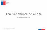 Comisión Nacional de la Fruta - ODEPA