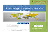 Technology Governance Risk and Control