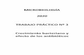 MICROBIOLOGÍA 2020 TRABAJO PRÁCTICO Nº 3 Crecimiento ...