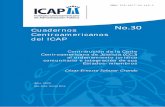 Cuadernos Centroamericanos del ICAP