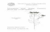 Taxonomická studie skupiny Centaurea phrygia agg. v České ...