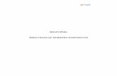 Directrices de Gobiernos Corporativos Enel Distribución
