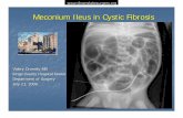 Meconium Ileus in Cystic Fibrosis -   - Get a Free