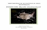 ESTUDI DEL Myotis daubentonii