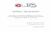 INFORME N° JPS-CdS-08-2020