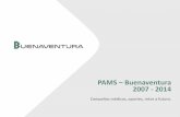 PAMS Buenaventura 2007 - 2014 - HuancavelicaPAMS