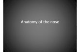 Atlas Anatomy of the nose and paranasal