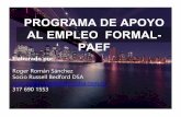PROGRAMA DE APOYO AL EMPLEO FORMAL- PAEF