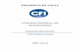 CONSEJO FEDERAL DE INVERSIONES PROGRAMA POPE …