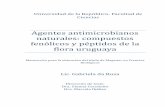 Agentes antimicrobianos naturales: compuestos fenólicos y ...