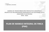 PLAN DE MANEJO INTEGRAL DE FINCA (PMI)