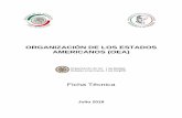ORGANIZACIÓN DE LOS ESTADOS AMERICANOS (OEA)