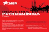 MCRSafety Industria Petroquimica