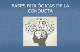 BASES BIOLÓGICAS DE LA CONDUCTA - ecotec.edu.ec