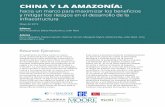 CHINA Y LA AMAZONÍA