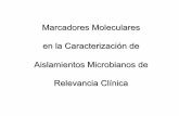 Marcadores Moleculares en la Caracterización de ...