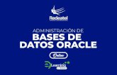 ADMINISTRACIÓN DE BASES DE DATOS ORACLE