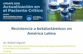 Resistencia a betalactámicos en América Latina