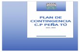PLAN DE CONTINGENCIA C.P PEÑA TÚ. 2020 2021