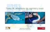 Tema 18-anestesia de reptiles y aves OCW - UM