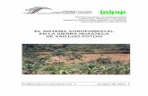 EL SISTEMA AGROFORESTAL EN LA SIERRA HUASTECA DE SAN …