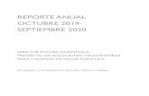 Reporte ANUAL 2019-2020