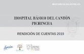HOSPITAL BÁSICO DEL CANTÓN PICHINCHA - Gob