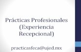 Prácticas Profesionales (Experiencia Recepcional)