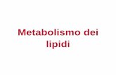 Metabolismo dei lipidi - Unife