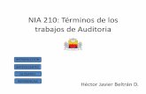 NIA 210: Términos de los trabajos de Auditoria