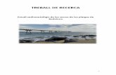 TREBALL DE RECERCA - Colgeocat