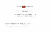 PEC 2020 - 2021 PDF