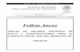 Folleto Anexo - 201.131.18.80
