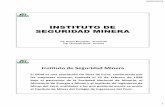 INSTITUTO DE SEGURIDAD MINERA - ISEM