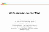 Entamoeba histolytica - unich.it