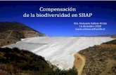 Compensación de la biodiversidad en SBAP
