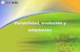 adaptación Variabilidad, evolución y