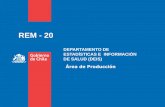 REM - 20 - Gobierno de Chile