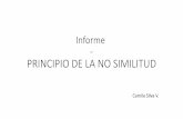 PRINCIPIO DE LA NO SIMILITUD - PUCV