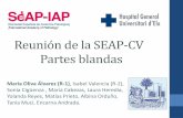 Reunión de la SEAP-CV Partes blandas