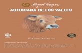 asturiana de los valles - Miguel Vergara