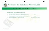 egresos programáticos - Nuevo León