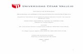 Br. - César Vallejo University