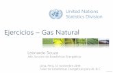 Ejercicios Gas Natural - United Nations