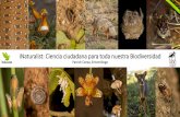 iNaturalist: Ciencia ciudadana para toda nuestra Biodiversidad