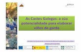 As CastesGalegas: a súa potencialidadepara elaborar ...