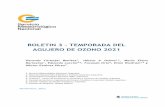 BOLETIN 1 – TEMPORADA DEL AGUJERO DE OZONO 2019